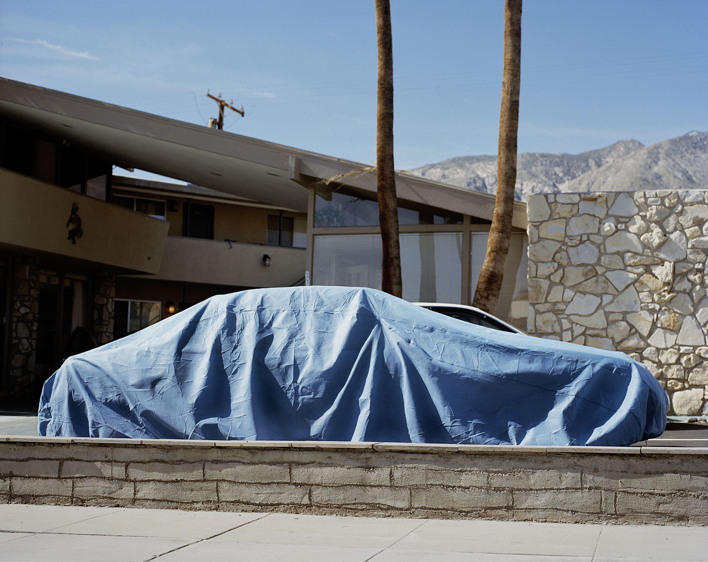 PalmSprings2PrikCropCurveSharp_WebRes